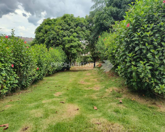 Vende, Chácara, Vila Romana, 7 km do centro, Bragança Paulista SP.