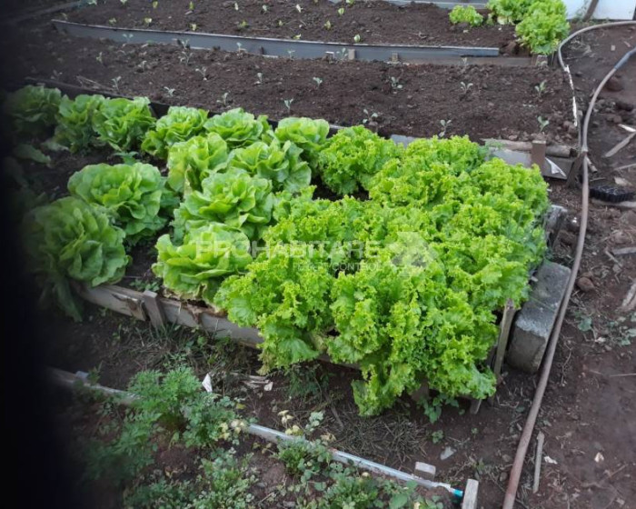 Vende, chácara, Atibaianos, Bragança Paulista-SP - Foto 23 de 37