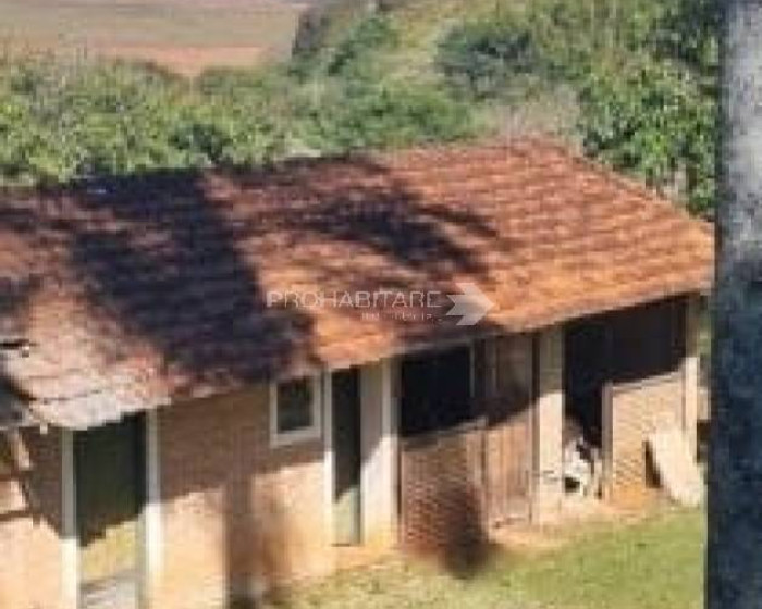 Vende, sítio, Mãe dos Homens, Bragança Paulista-SP - Foto 2 de 9