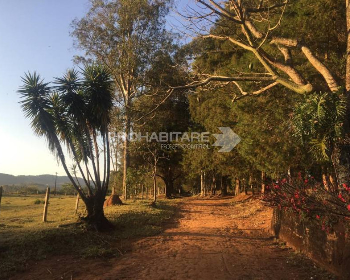 Vende, sítio, Mãe dos Homens, Bragança Paulista-SP - Foto 4 de 9