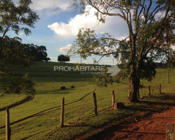 Vende, sítio, Mãe dos Homens, Bragança Paulista-SP - Foto 8 de 9