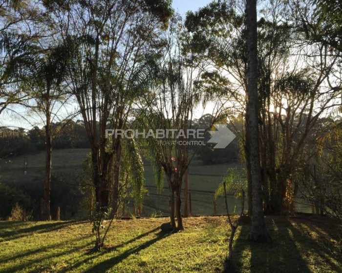 Vende, sítio, Mãe dos Homens, Bragança Paulista-SP - Foto 9 de 9