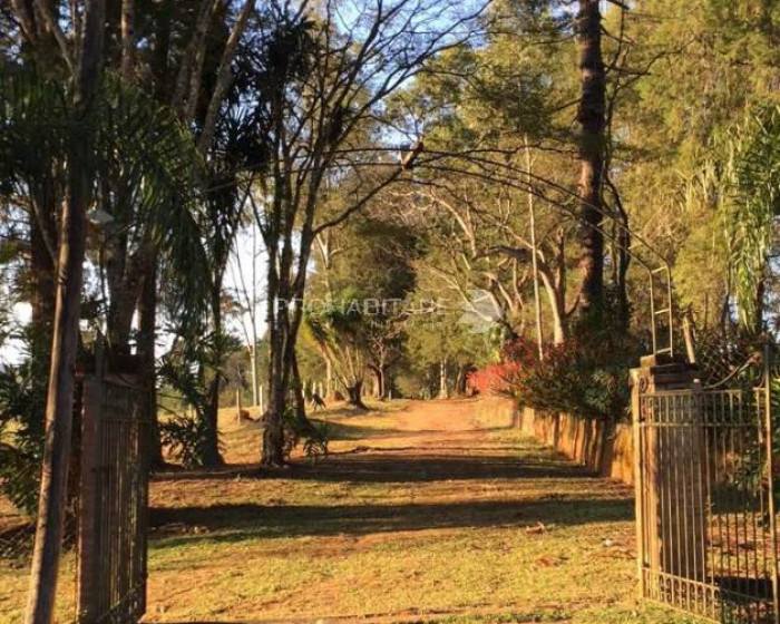 Vende, sítio, Mãe dos Homens, Bragança Paulista-SP - Foto 6 de 9