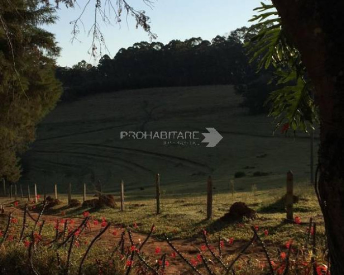 Vende, sítio, Mãe dos Homens, Bragança Paulista-SP - Foto 7 de 9