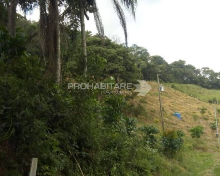 Vende, chácara, Sul de Minas , Minas Gerais - Foto 11 de 19