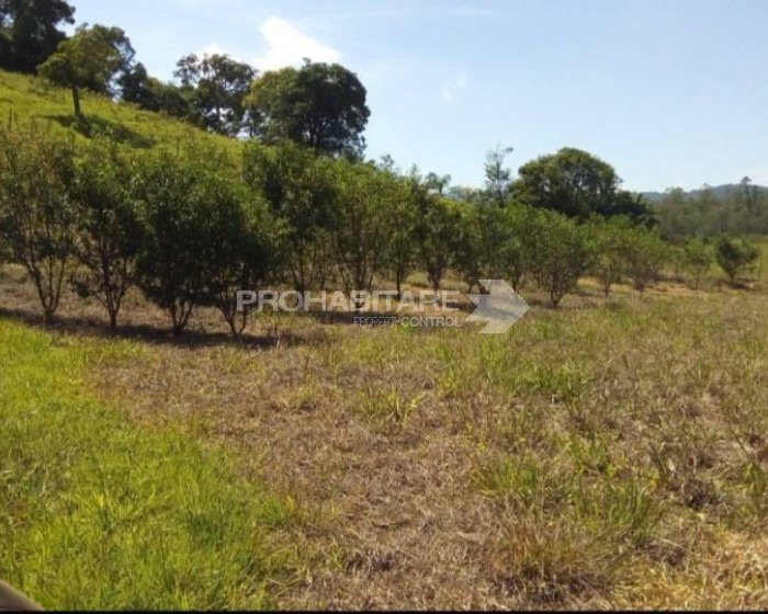 Vende, chácara, Sul de Minas , Minas Gerais - Foto 3 de 19