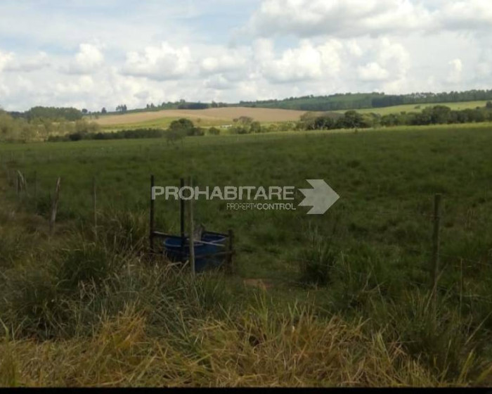 Vende, chácara, Sul de Minas , Minas Gerais - Foto 4 de 19