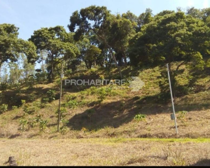 Vende, chácara, Sul de Minas , Minas Gerais - Foto 5 de 19