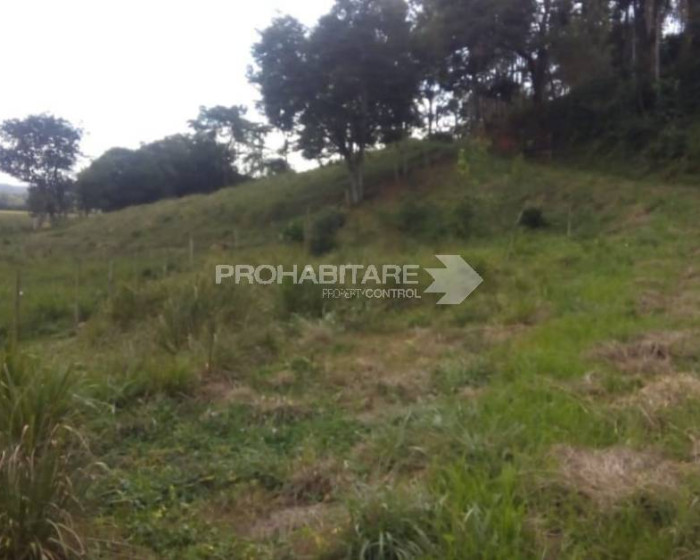 Vende, chácara, Sul de Minas , Minas Gerais - Foto 6 de 19