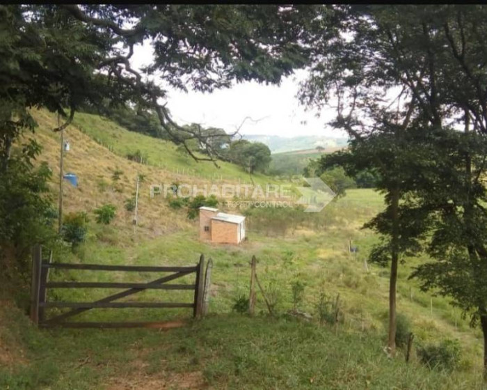 Vende, chácara, Sul de Minas , Minas Gerais - Foto 8 de 19