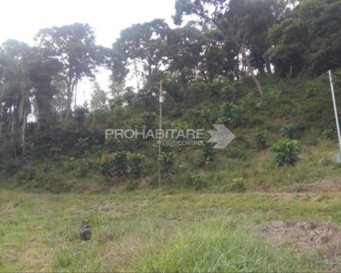 Vende, chácara, Sul de Minas , Minas Gerais - Foto 9 de 19