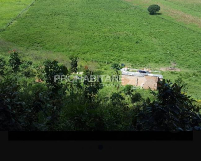 Vende, chácara, Sul de Minas , Minas Gerais - Foto 10 de 19