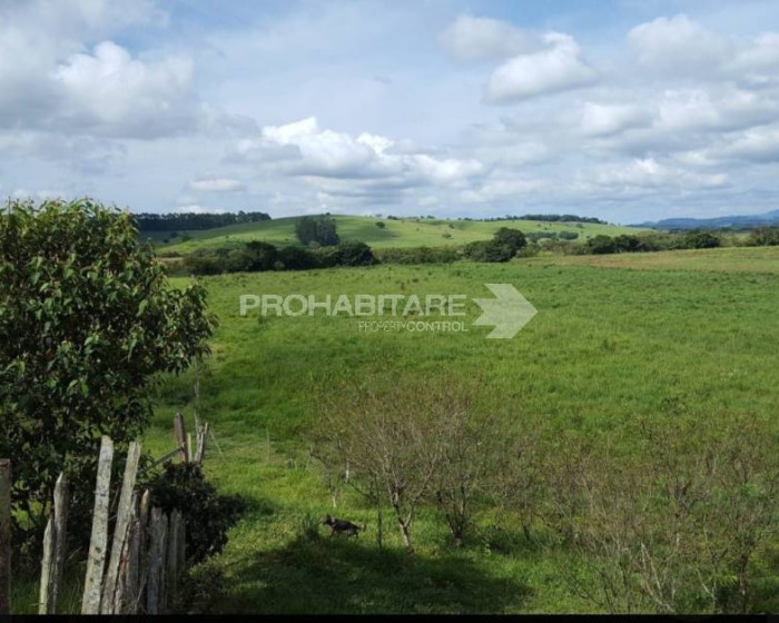 Vende, chácara, Sul de Minas , Minas Gerais