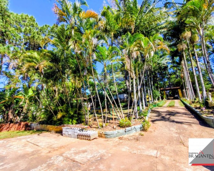 Vende, Chácara, Fernão Dias, Bragança Paulista, SP - Foto 6 de 20