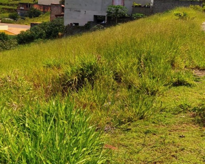 Vende, terreno, Pinhalzinho - SP, Circuito das Águas, 80 km SP - Foto 6 de 9