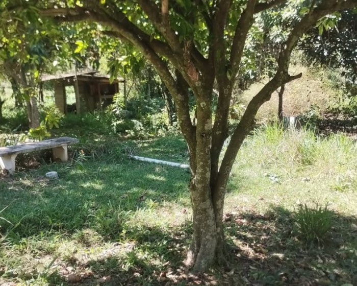 Vende, chácara, Guaripocaba dos Souzas, zona rural, Bragança Pta-SP