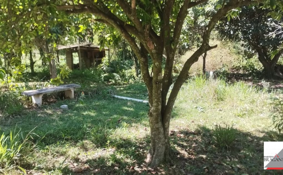 vende-chacara-guaripocaba-dos-souzas-zona-rural-braganca-pta-sp