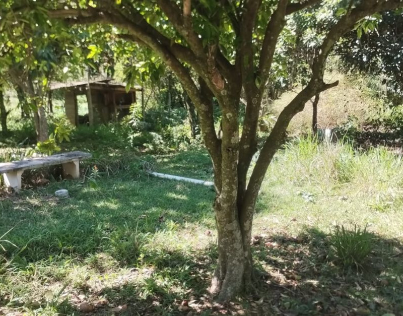 vende-chacara-guaripocaba-dos-souzas-zona-rural-braganca-pta-sp